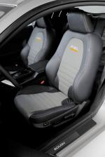 Ford Mustang P-51A by Roush 2007 года